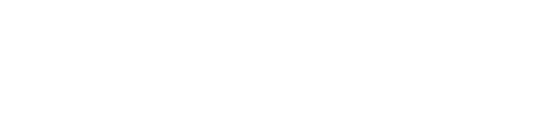 DISKO-live_LOGO_Final-300dpi-kopier-White